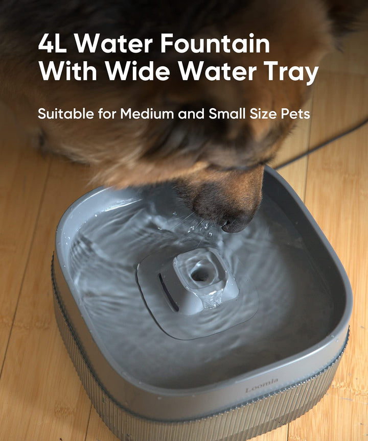 Loomla, 135oz/4L Dog Water Bowl Dispenser and Cat Water Fountain, Automatic Pet Water Fountain for Small to Medium Dogs, Cats & Other Pets (Grey)