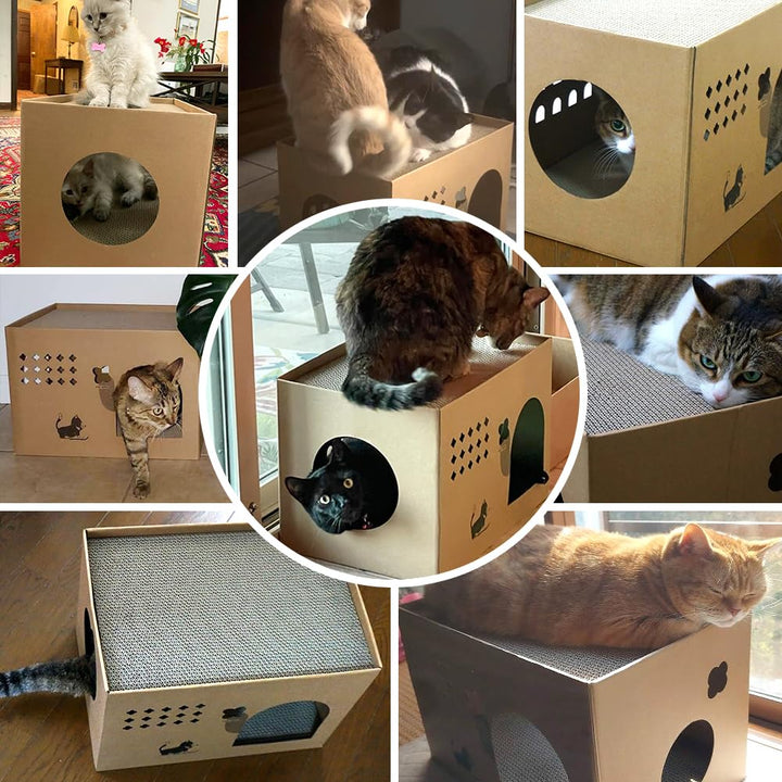 Cat Cardboard House with 2 PCS Scratching Pads，Large Cat Cardboard Scratcher for Indoor Cats with Corrugated Board Detachable Cat Scratcher Box for Cats (Cactus)