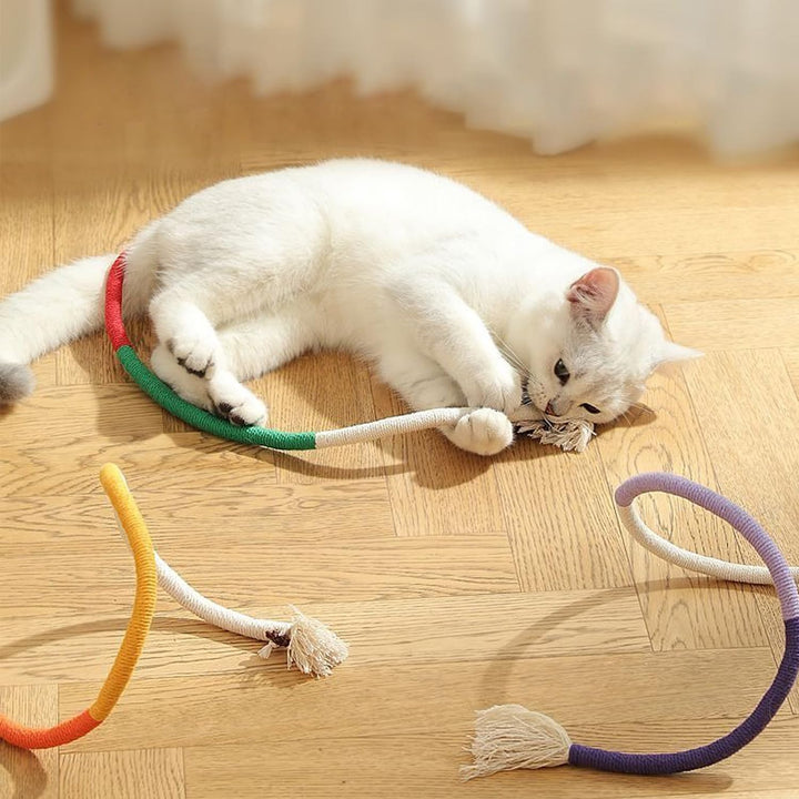YUDANSI Catnip Toys for Indoor Cats, Snaky Rope Toys with Gall Fruit for Cat Playing Chewing Teeth-Cleaning