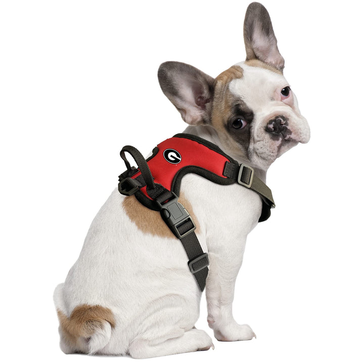 Littlearth Unisex-Adult NCAA Georgia Bulldogs Front Clip Pet Harness, Team Color, Small