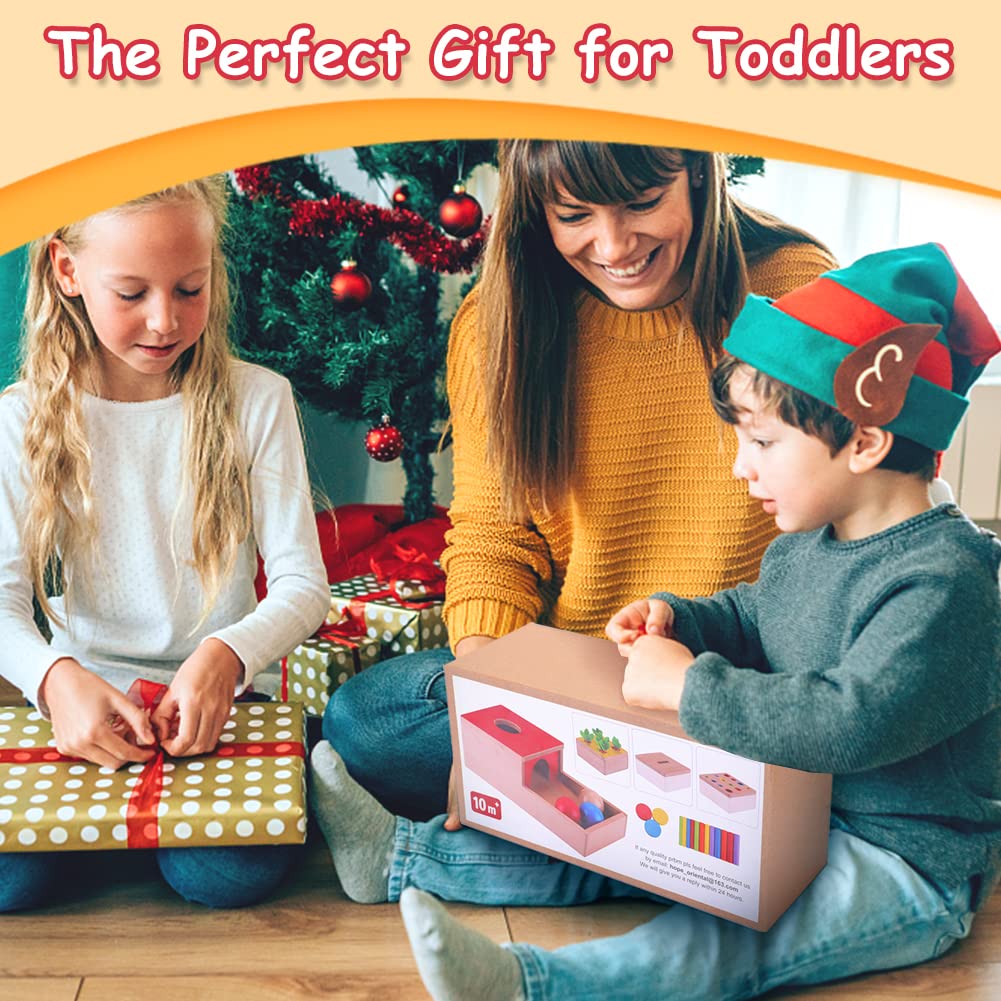 Baby 1 Years Old Boys Girls, Toddlers Wooden Montessori Toys