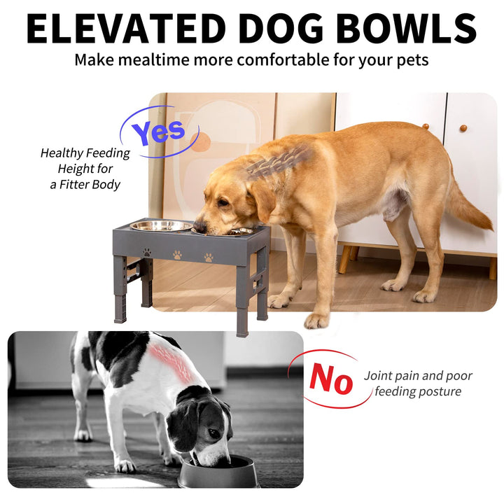 LAKIPETN Elevated Dog Bowls with 2 Stainless Steel Dog Food Bowls Stand 5 Height Adjustable Raised Dog Bowl Adjusts to 3.1”, 9”, 10”, 11”, 12” Non-Slip No Spill Dog Dish for Small Medium Large Dogs