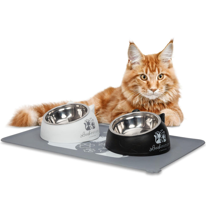 Cat Bowls Cat Food Water Bowl Feeding & Watering Supplies for Cats Raised Cat Bowl Cat Feeding Bowl Cat accessories Kitten Bowls (Black + White)