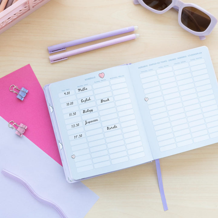 Anime Diary: School Year 2024-2025