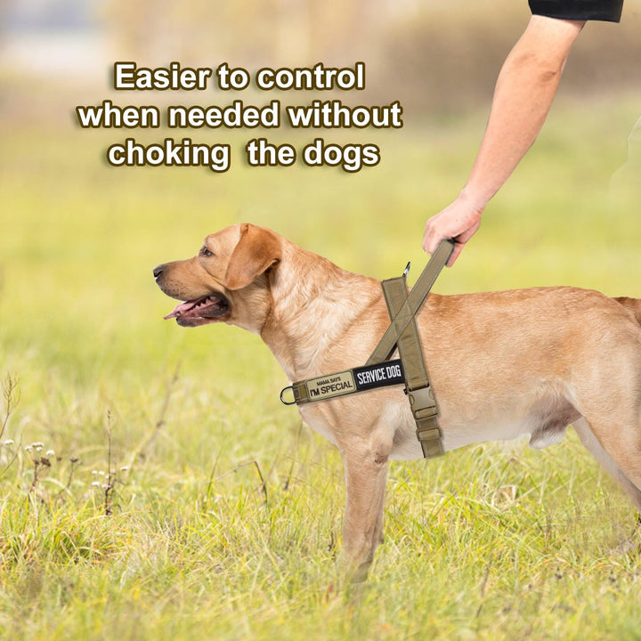 No Pull Dog Harness with Soft Padded Handle Reflective Strip Escape Proof Quick Fit to Adjust Dog Harness Easy for Training Walking for Small Medium Large Dog