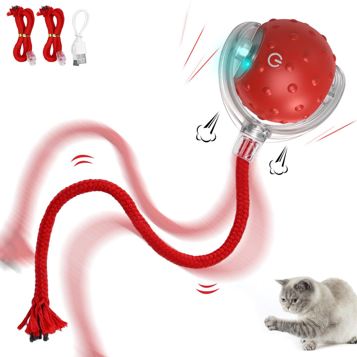 okheira Interactive Cat Toy Electric Automatic Toys for Indoor Cats, Rechargeable Irregular Moving Toys, Stimulate Cats' Hunting Instincts
