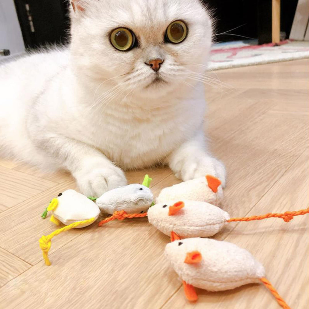 6 Pack Cat Toys Catnip Mouse Toys Cat Toys for Indoor Cats Adult Cat Mouse Toys Catnip Kitten Toys Simulation Catnip Soft Toy for Cat Playing Chewing Teeth Cleaning