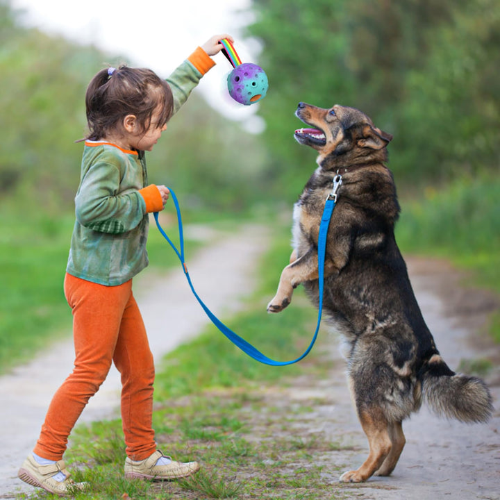 HETOO Interactive Dog Toys,Natural Rubber Dog Balls on a Rope,Dog Treat Ball Dispenser Puzzle Dog Ball Keep them Busy,Reduces Anxiety Boredom Dog Chew Toys,Refillable Homemade Freezable Dog Food Ball