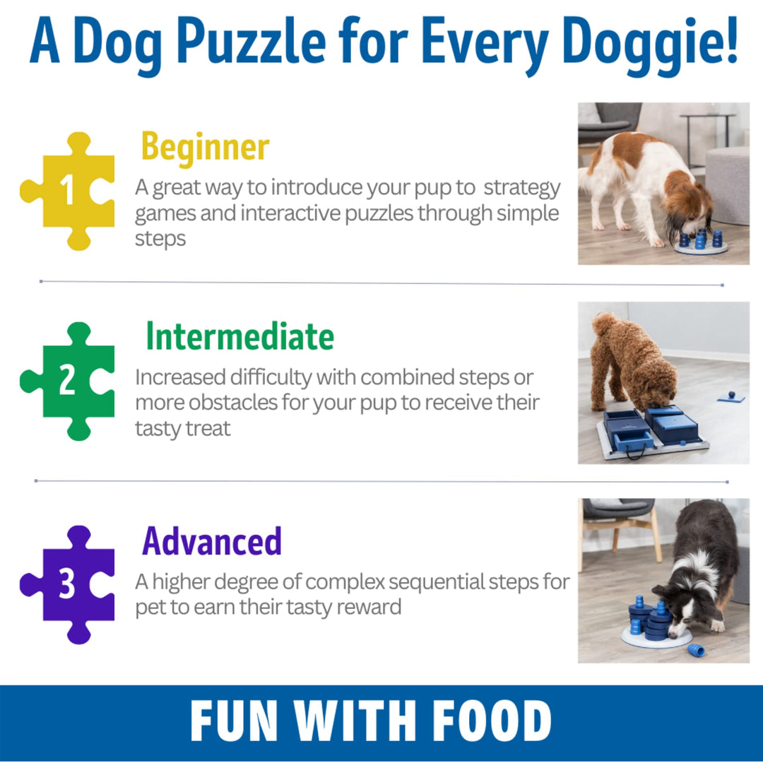 TRIXIE Mad Scientist for Dogs, Level 1 Strategy Game, Windmill Treat Dispenser