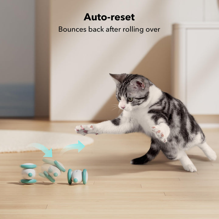 PETLIBRO Cat Toys, Upgraded Mouse Cat Toy with USB-C Charging, Low Battery and Stuck Reminder