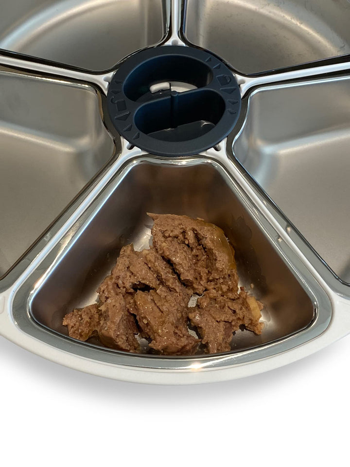Closer Pets Automatic Pet Feeder | Cat or Small Dog Bowl with Digital Timer | For Wet or Dry Pet Food, up to 330g in Each (formerly Cat Mate) (5 Meal Feeder Stainless Steel Bowl)