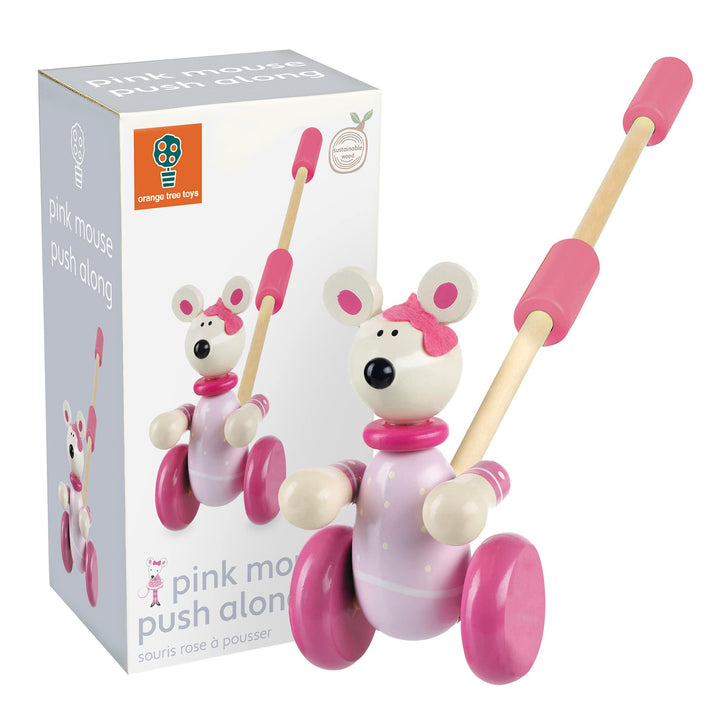 Animal Push and Pull Along for 1 Year Old, Wooden Toys