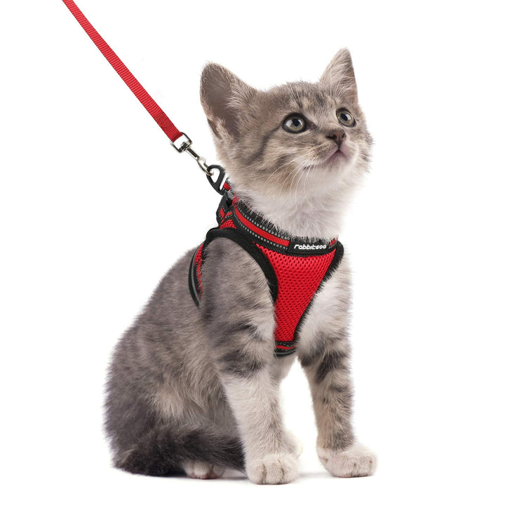 abbitgoo Cat Harness and Leash Set for Walking Escape Proof, Adjustable Soft Kittens Vest with Reflective Strip for Extra Small Cats