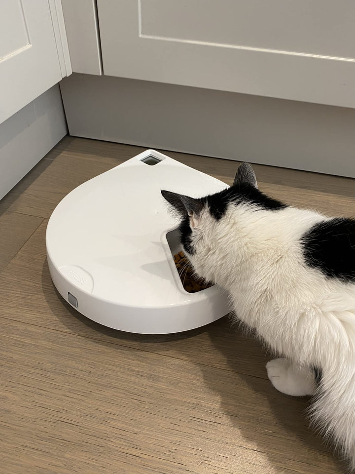 Closer Pets Automatic Pet Feeder | Cat or Small Dog Bowl with Digital Timer | For Wet or Dry Pet Food, up to 330g in Each (formerly Cat Mate) (5 Meal Feeder Stainless Steel Bowl)