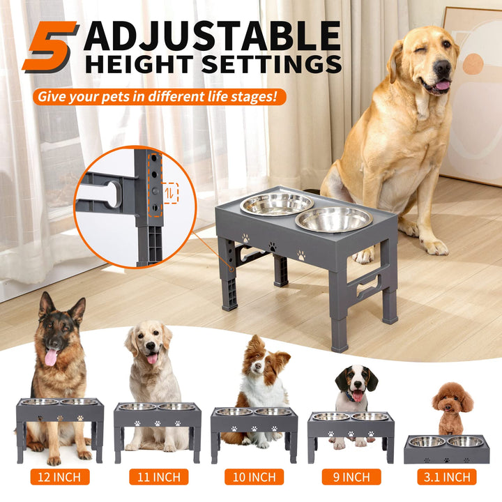 LAKIPETN Elevated Dog Bowls with 2 Stainless Steel Dog Food Bowls Stand 5 Height Adjustable Raised Dog Bowl Adjusts to 3.1”, 9”, 10”, 11”, 12” Non-Slip No Spill Dog Dish for Small Medium Large Dogs
