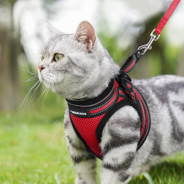 abbitgoo Cat Harness and Leash Set for Walking Escape Proof, Adjustable Soft Kittens Vest with Reflective Strip for Extra Small Cats