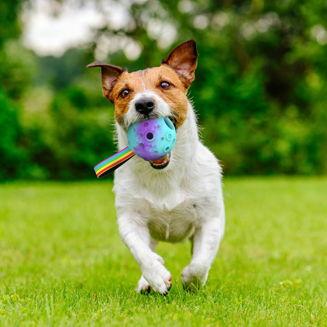 HETOO Interactive Dog Toys,Natural Rubber Dog Balls on a Rope,Dog Treat Ball Dispenser Puzzle Dog Ball Keep them Busy,Reduces Anxiety Boredom Dog Chew Toys,Refillable Homemade Freezable Dog Food Ball