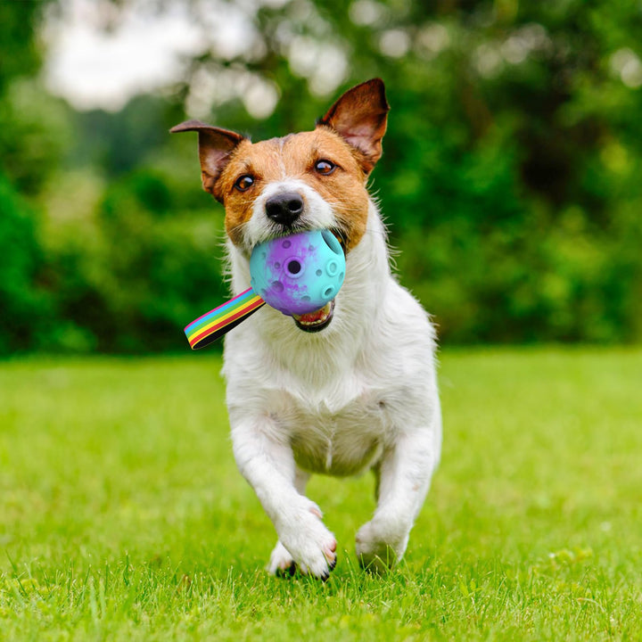 HETOO Interactive Dog Toys,Natural Rubber Dog Balls on a Rope,Dog Treat Ball Dispenser Puzzle Dog Ball Keep them Busy,Reduces Anxiety Boredom Dog Chew Toys,Refillable Homemade Freezable Dog Food Ball