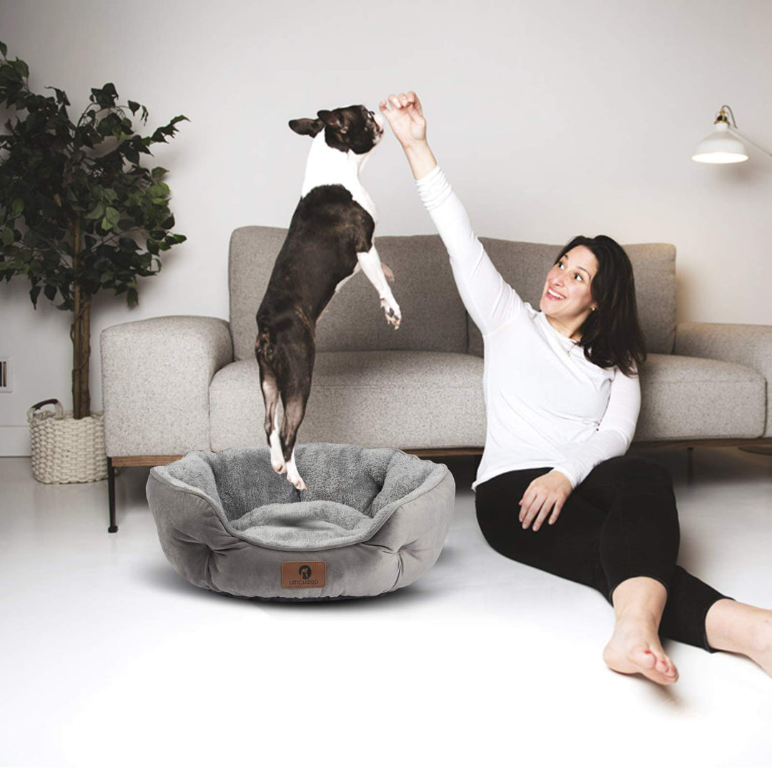 Asvin Small Dog Bed for Small Dogs, Cat Beds for Indoor Cats, Pet Bed for Puppy and Kitty, Extra Soft & Machine Washable