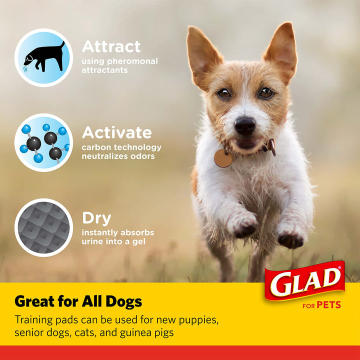 Glad for Pets Black Charcoal Puppy Pads | Puppy Potty Training Pads That ABSORB & NEUTRALIZE Urine Instantly