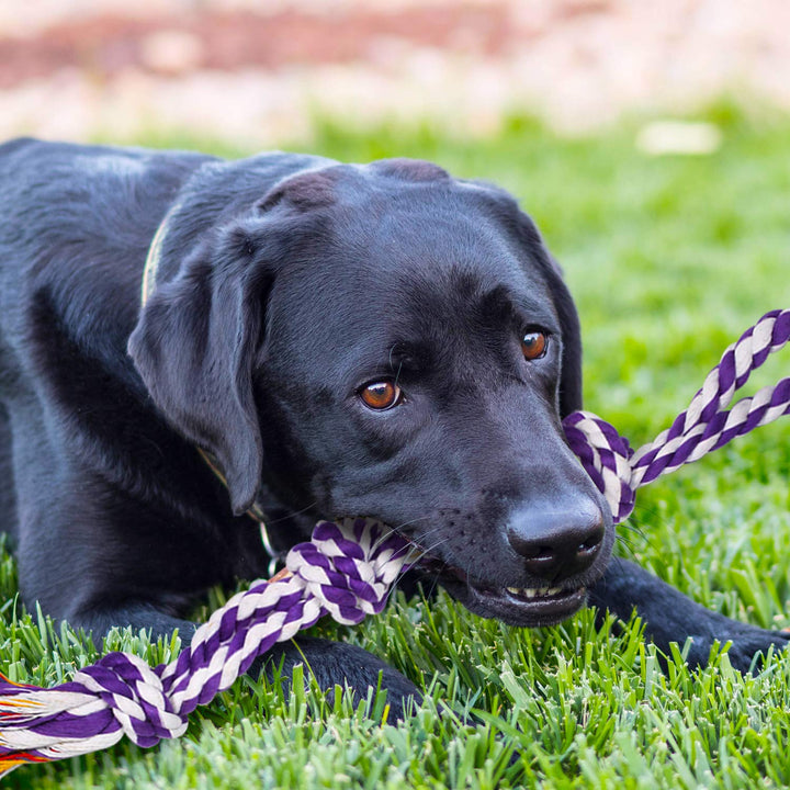 HARLOVY Large Tough Chew Toys for Aggressive Chewers Large Breed,Heavy Duty Dental Rope Toys Kit for Medium Dogs