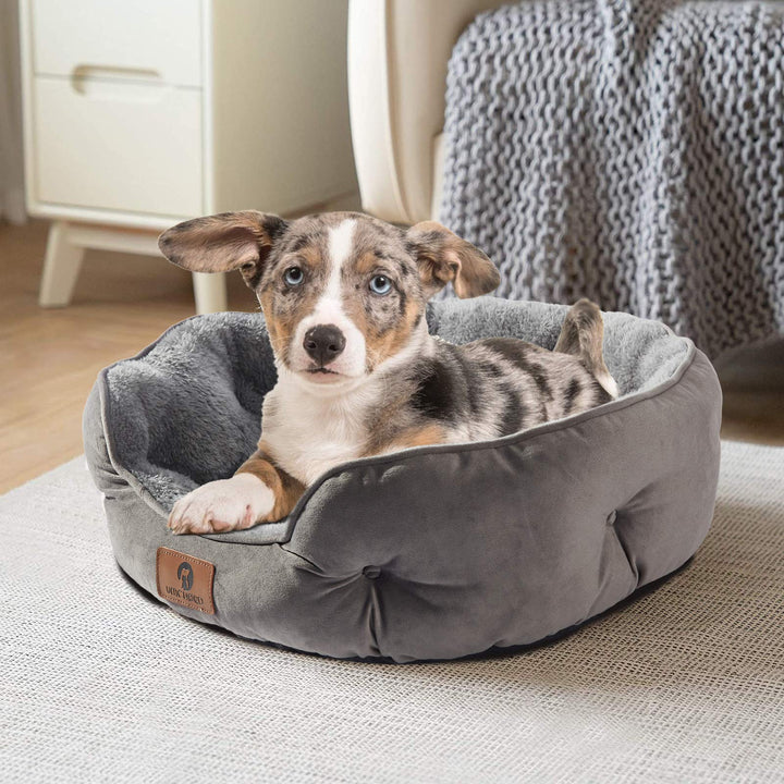 Asvin Small Dog Bed for Small Dogs, Cat Beds for Indoor Cats, Pet Bed for Puppy and Kitty, Extra Soft & Machine Washable