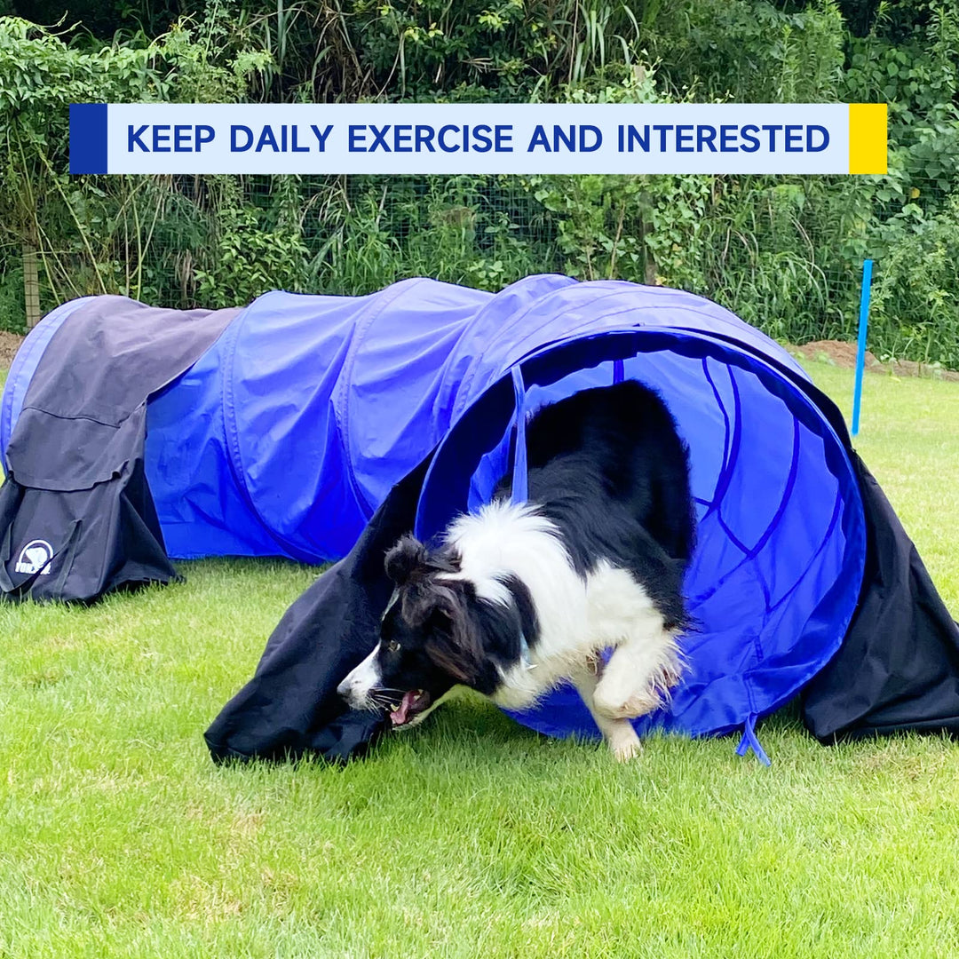 YON.SOU.10 Foot Dog Agility Tunnel with 2 Sandbags,24-Inch Open Tunnel for Dog Agility Equipment Indoor and Outdoor