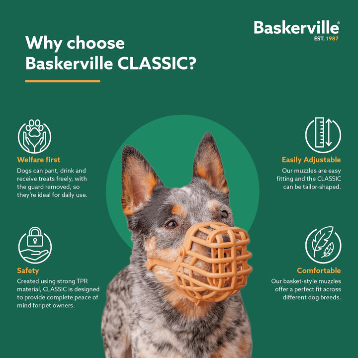 Baskerville Classic Basket Muzzle - Dog can Pant and Drink, Prevents Biting and Food Waste Scavenging