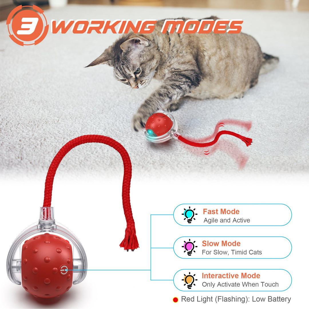 okheira Interactive Cat Toy Electric Automatic Toys for Indoor Cats, Rechargeable Irregular Moving Toys, Stimulate Cats' Hunting Instincts