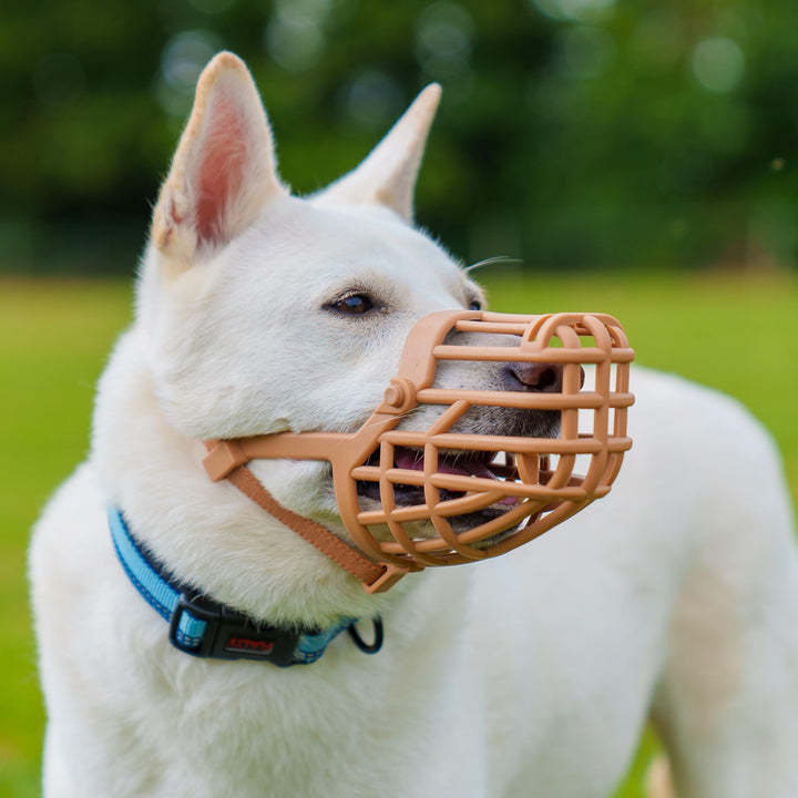 Baskerville Classic Basket Muzzle - Dog can Pant and Drink, Prevents Biting and Food Waste Scavenging