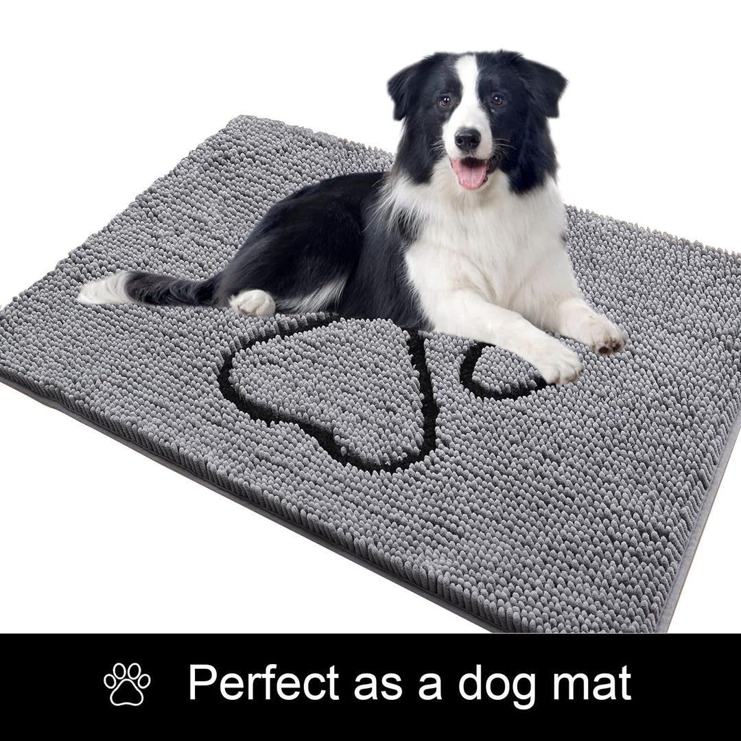 Royalotic Soft Chenille Water Absorbent Door Mat Indoor, Traps Mud and Moisture for Muddy Shoes Dog Paws, Durable Backing, Washable, Rug Door Mat for Entry, High Traffic Areas, 20''x30'', Grey