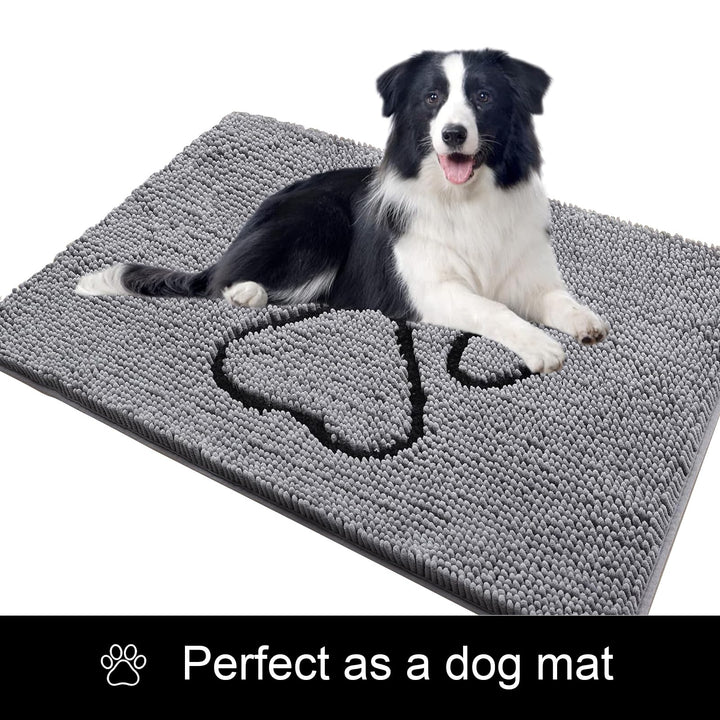 Royalotic Soft Chenille Water Absorbent Door Mat Indoor, Traps Mud and Moisture for Muddy Shoes Dog Paws, Durable Backing, Washable, Rug Door Mat for Entry, High Traffic Areas, 20''x30'', Grey