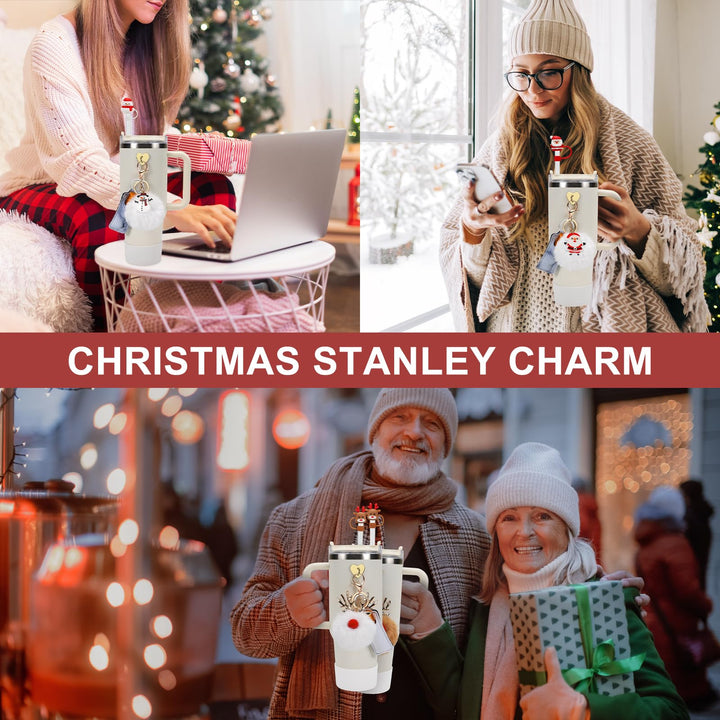 Christmas Stanley Cup Accessories Set