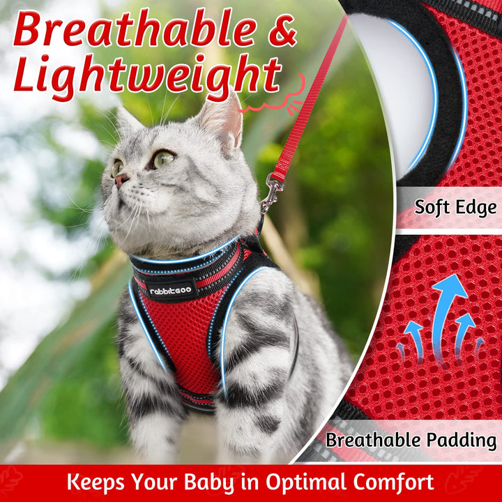 abbitgoo Cat Harness and Leash Set for Walking Escape Proof, Adjustable Soft Kittens Vest with Reflective Strip for Extra Small Cats