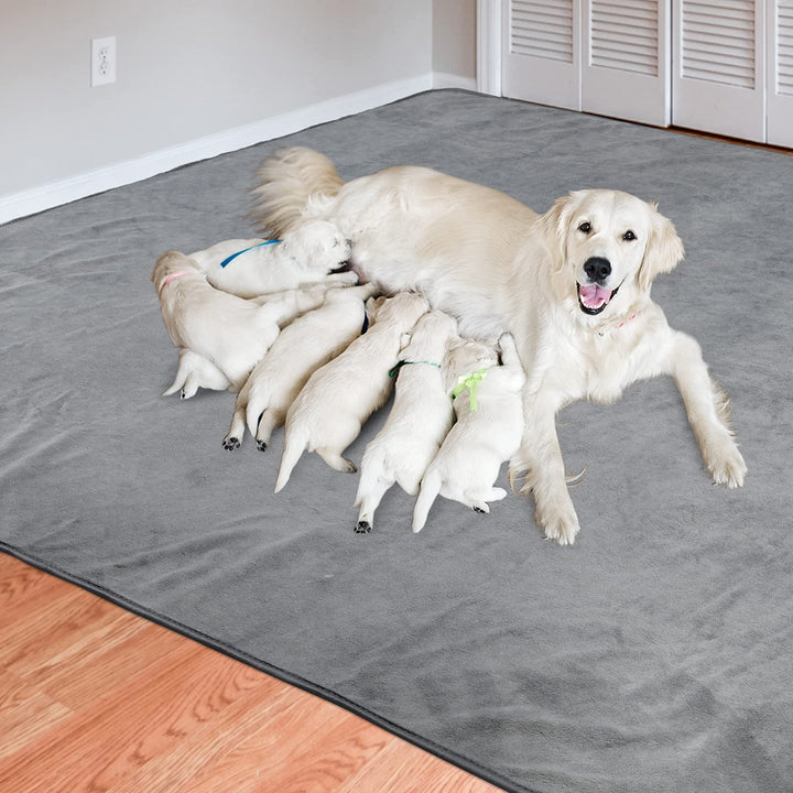 Dog Pee Pad Washable-Extra Large 125x168 cm Instant Absorb Training Pads Non-Slip Pet Playpen Mat Waterproof Reusable Floor Mat for Puppy/Senior Dog Whelping Incontinence Housebreaking