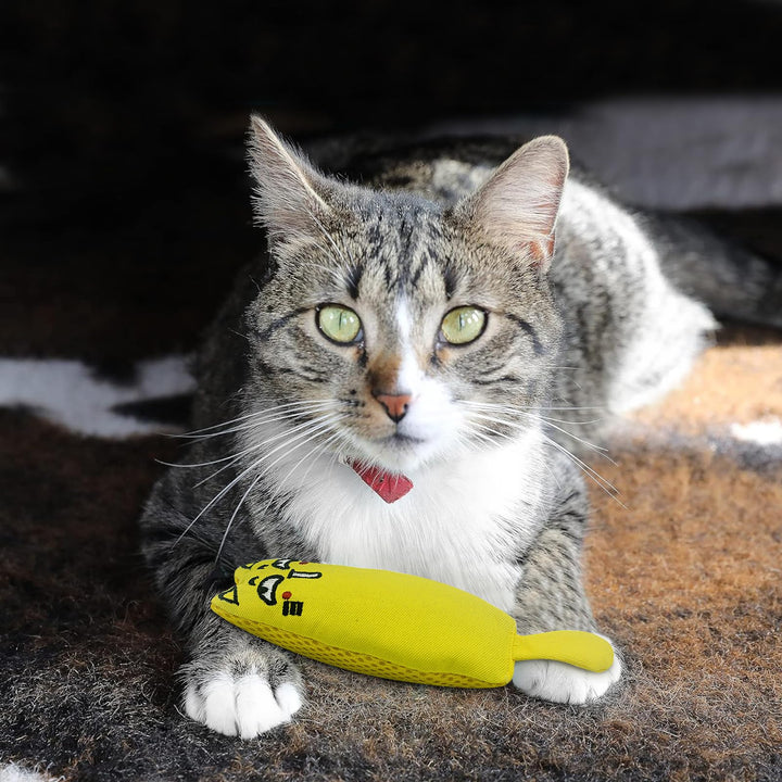 Ertzinla Catnip Toy for Cats, Chew Dental Health Cat Toy, 100% Natural Cat nip Filled