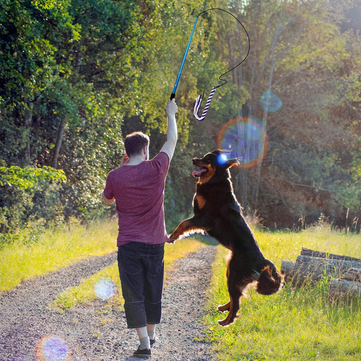 UEETEK Extendable Interactive Dog Toys Flirt Pole