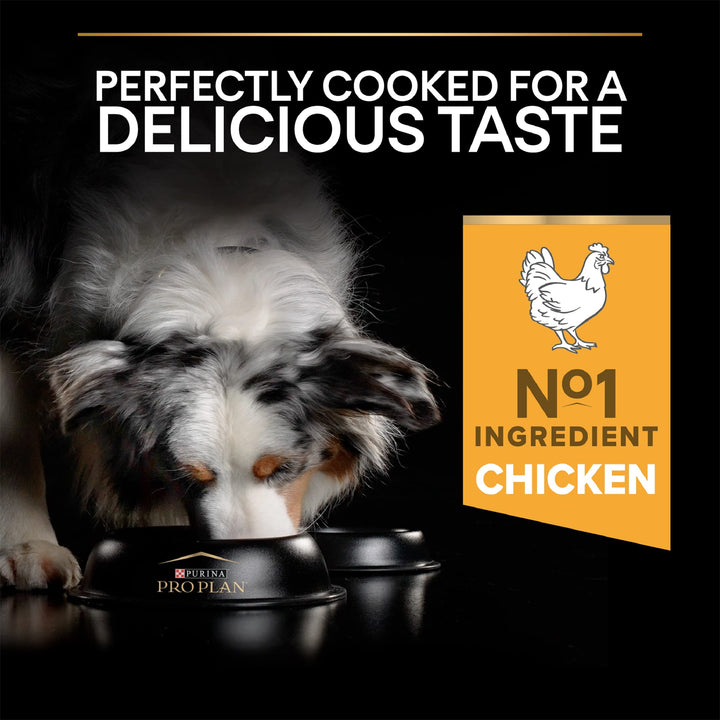 PRO PLAN® Medium Adult Everyday Nutrition Dry Dog Food with Chicken 14kg