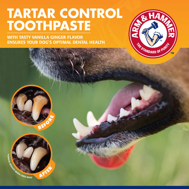 Arm & Hammer for Pets Tartar Control Dental Training Kit for Puppies | Toothbrush, Toothpaste, & Fingerbrush | Vanilla Ginger, Puppy Training Kit