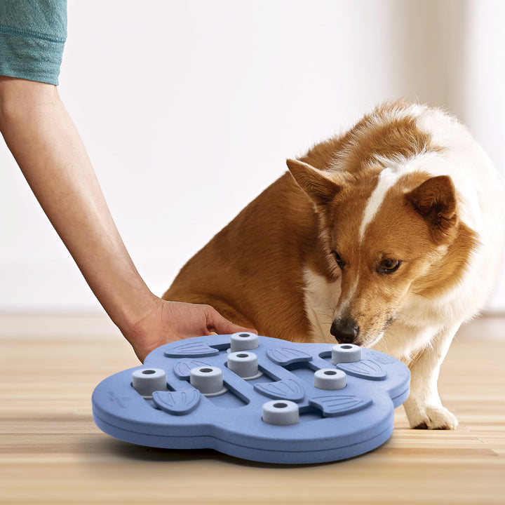 Outward Hound Nina Ottosson Dog Hide N' Slide Purple Interactive Treat Puzzle Dog Toy