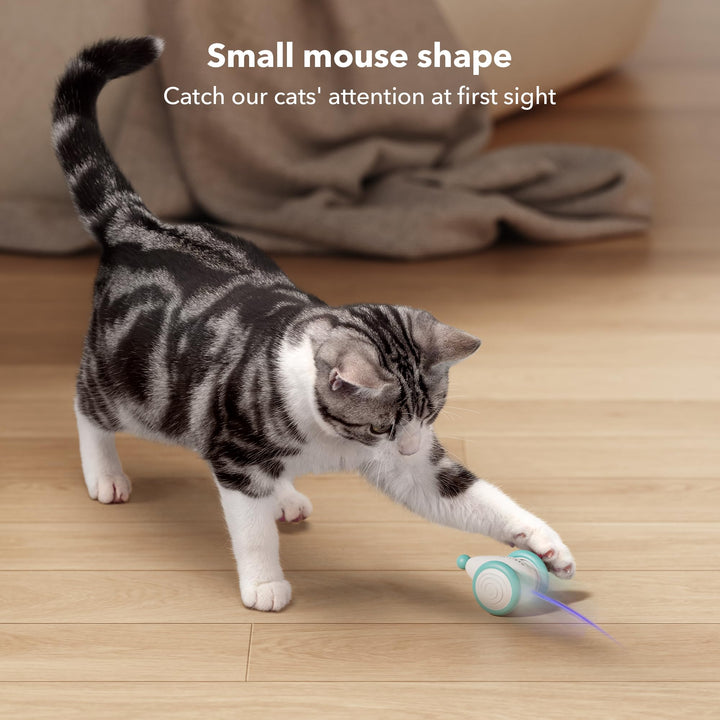 PETLIBRO Cat Toys, Upgraded Mouse Cat Toy with USB-C Charging, Low Battery and Stuck Reminder