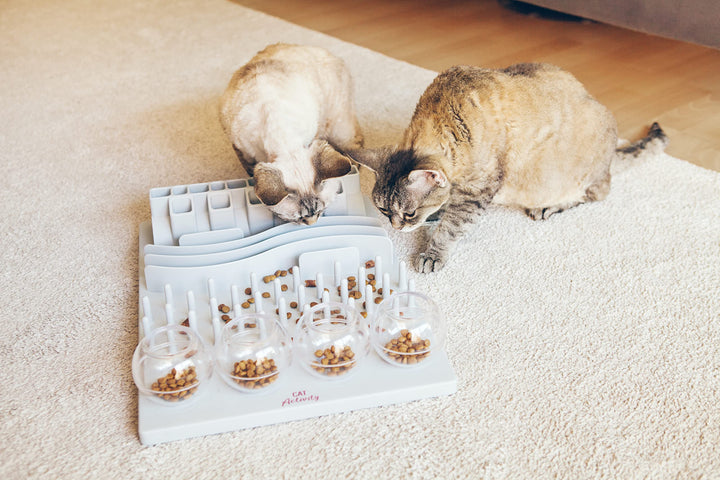 Fun Board Strategy Game for Cats, Puzzle Toy