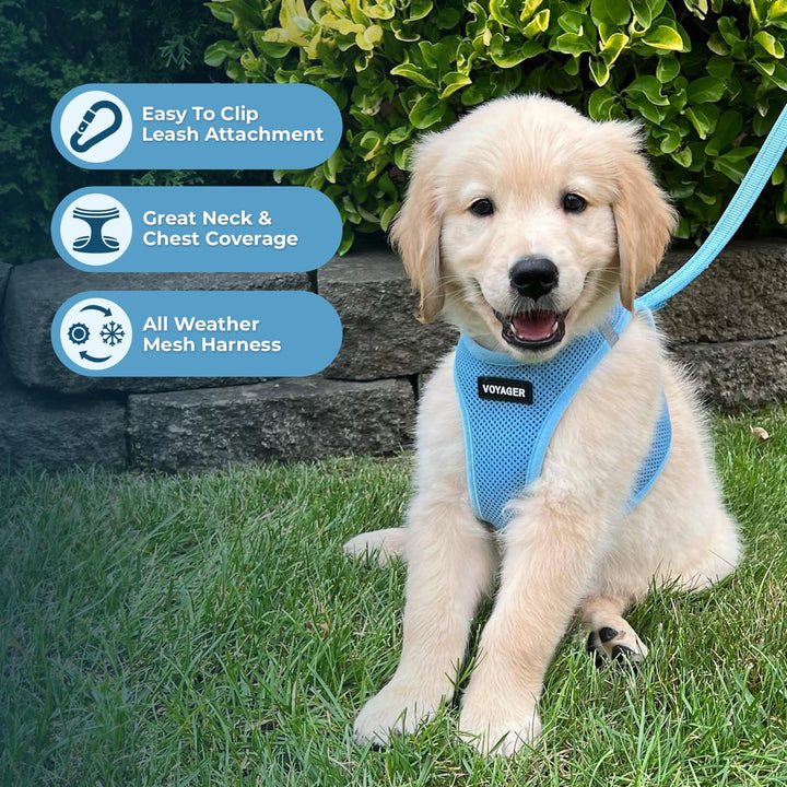 Voyager Step-in Air Dog Harness - All Weather Mesh Step in Vest Harness for Small and Medium Dogs and Cats by Best Pet Supplies