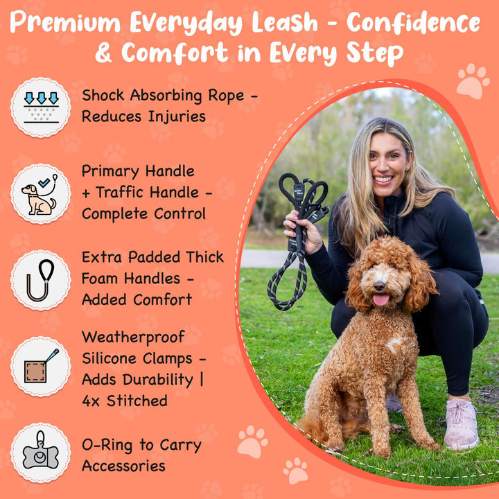 Roam Gear 6FT Dog Leash Heavy Duty Extra Padded Two Handles, Lockable Metal Carabiner Clip, Durable Silicone Clamps, Shock Absorbing Night Reflective No Pull Rope Leash for Medium, Large, X-Large Dogs