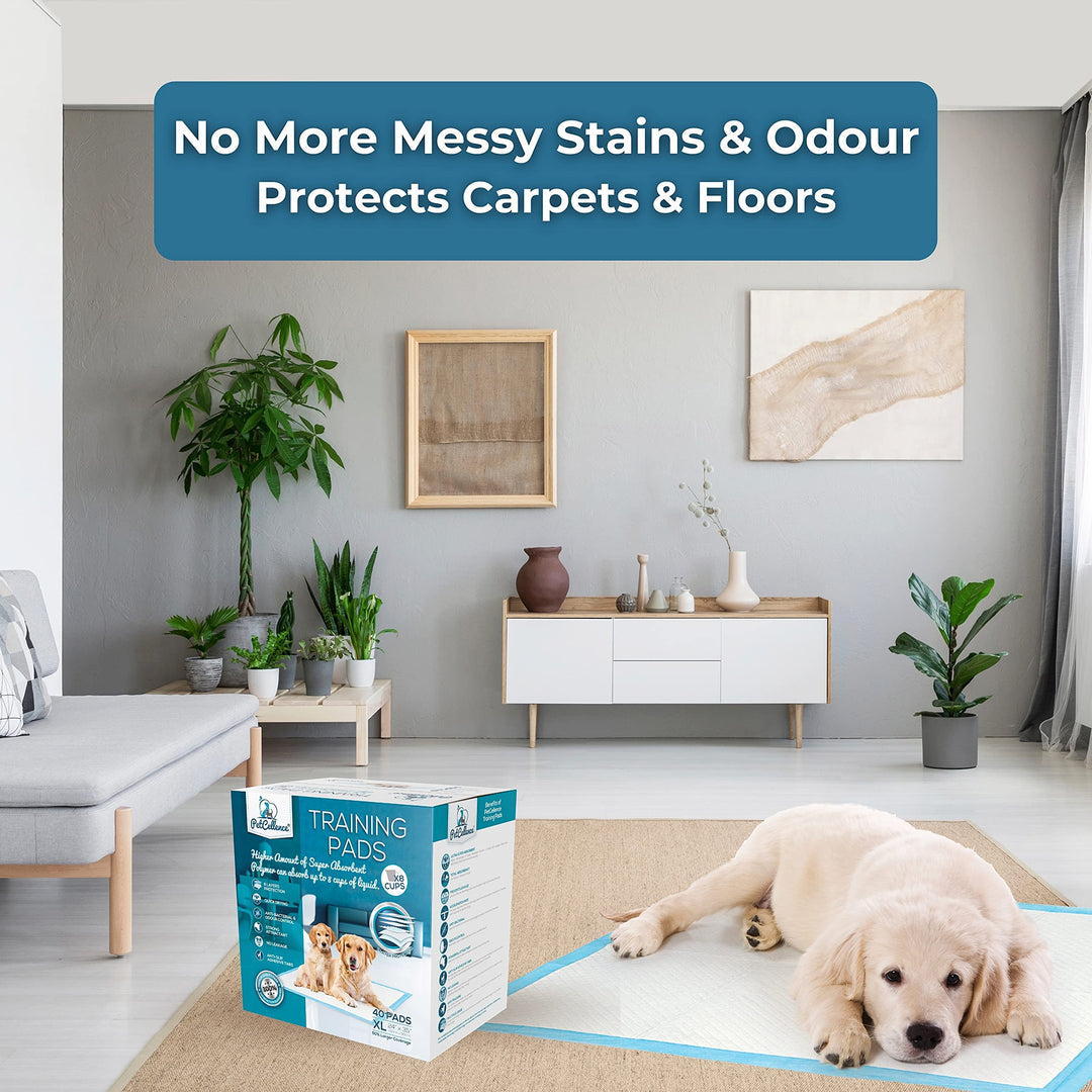 Boom! PetCellence Puppy Pads 40 Pack - 60 x 90cm Extra Large Dog Training Pads with Anti-Slip Tabs