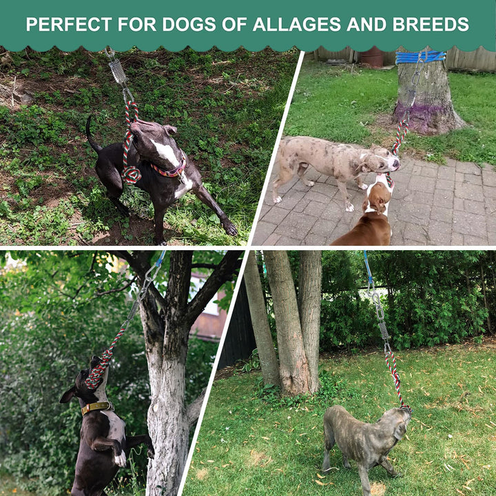 Dog Outdoor Bungee Solo Hanging Toy, Tether Tug of War Dog Toys for Pitbull & Small Large Aggressive Chewers Dogs to Exercise