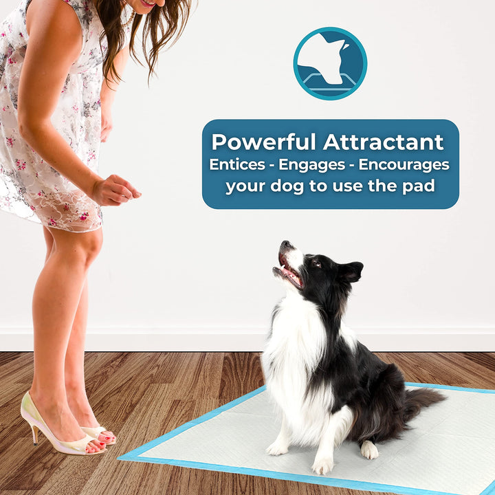 Boom! PetCellence Puppy Pads 40 Pack - 60 x 90cm Extra Large Dog Training Pads with Anti-Slip Tabs