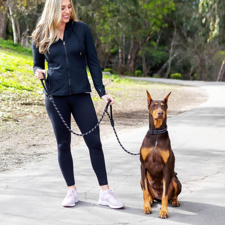 Roam Gear 6FT Dog Leash Heavy Duty Extra Padded Two Handles, Lockable Metal Carabiner Clip, Durable Silicone Clamps, Shock Absorbing Night Reflective No Pull Rope Leash for Medium, Large, X-Large Dogs