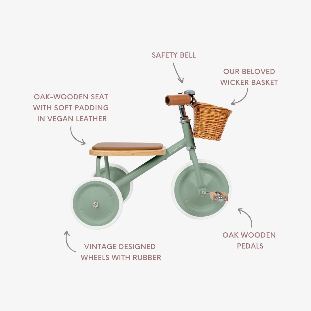 Banwood Trike – Classic Toddler Tricycle (Forest)