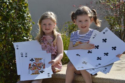 Giant Cards XXL by Traditional Garden Games - Learning Bugs UK